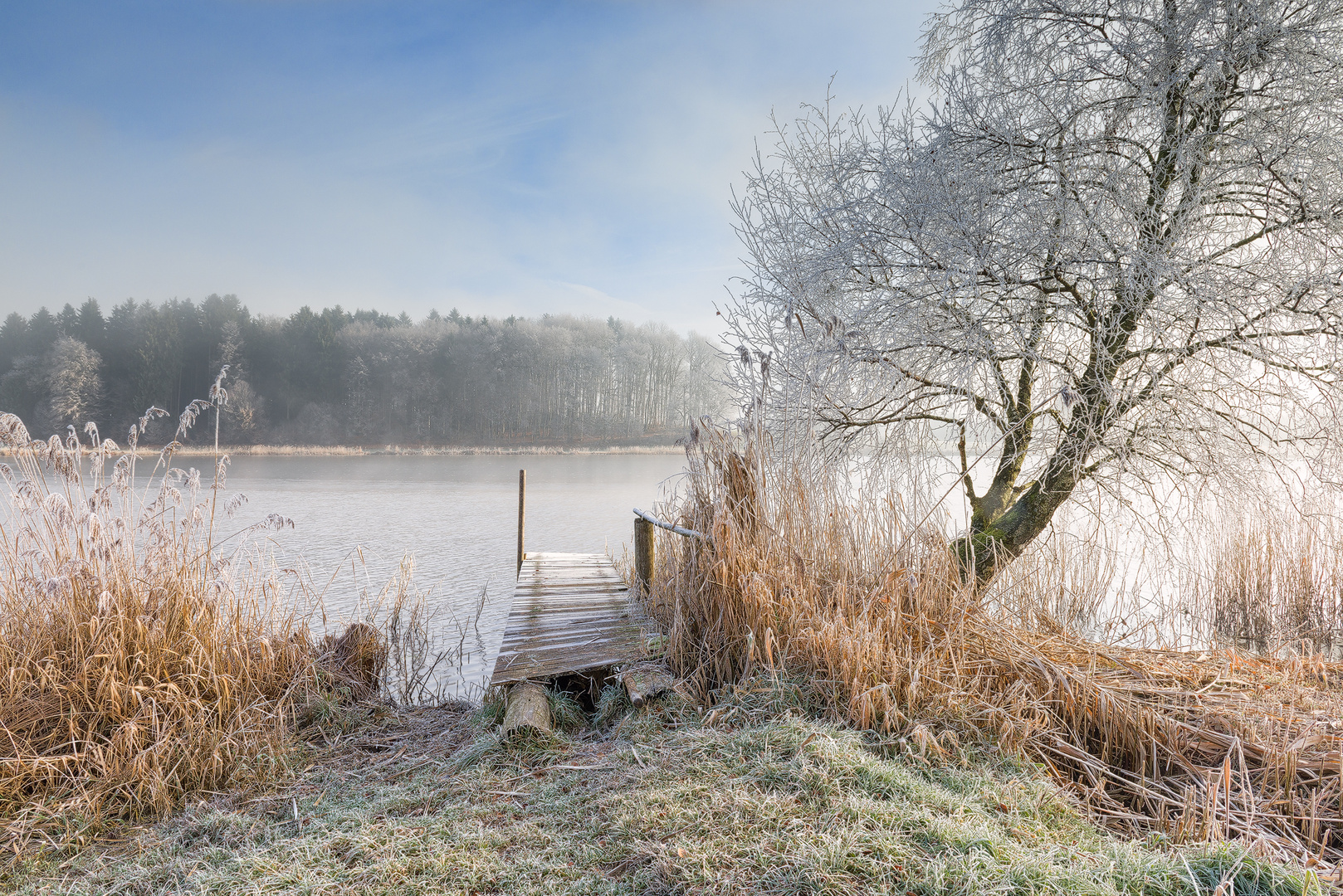 frosty morning