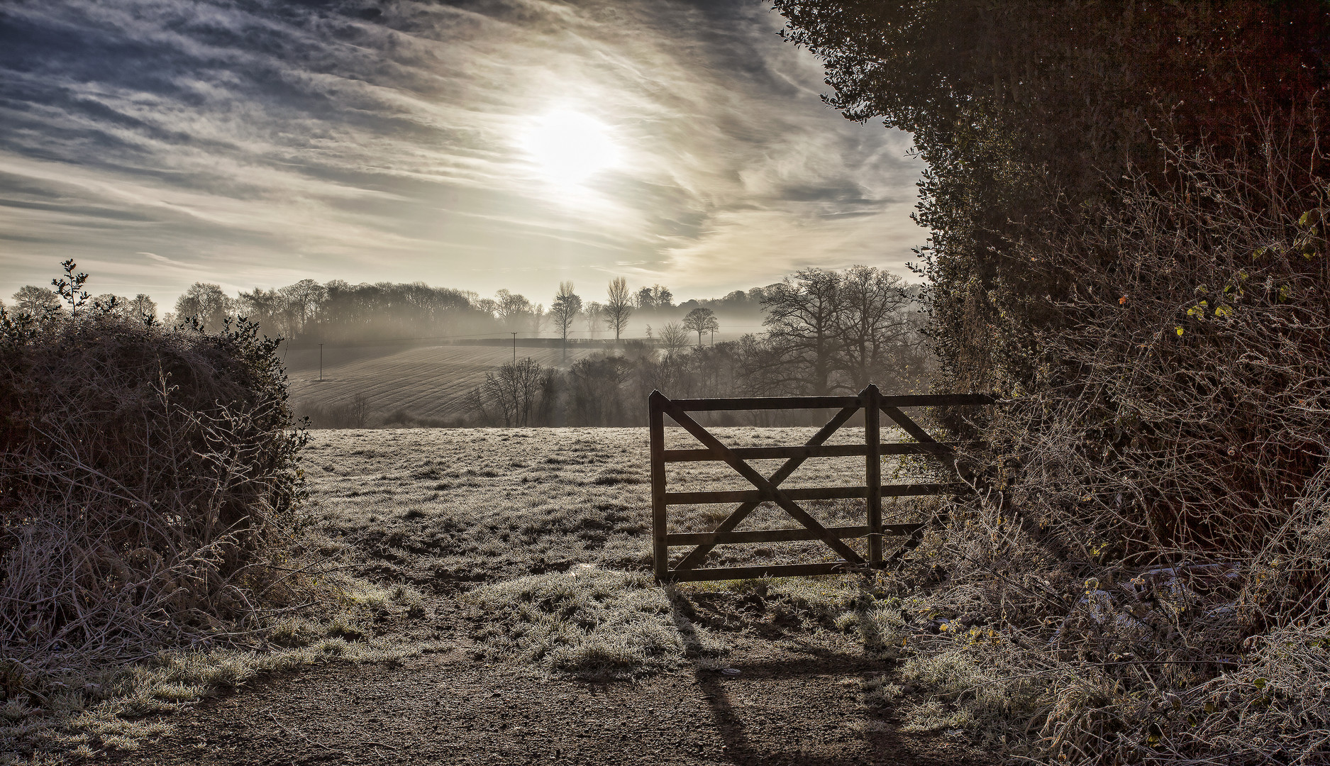 Frosty Morning