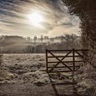 Frosty Morning