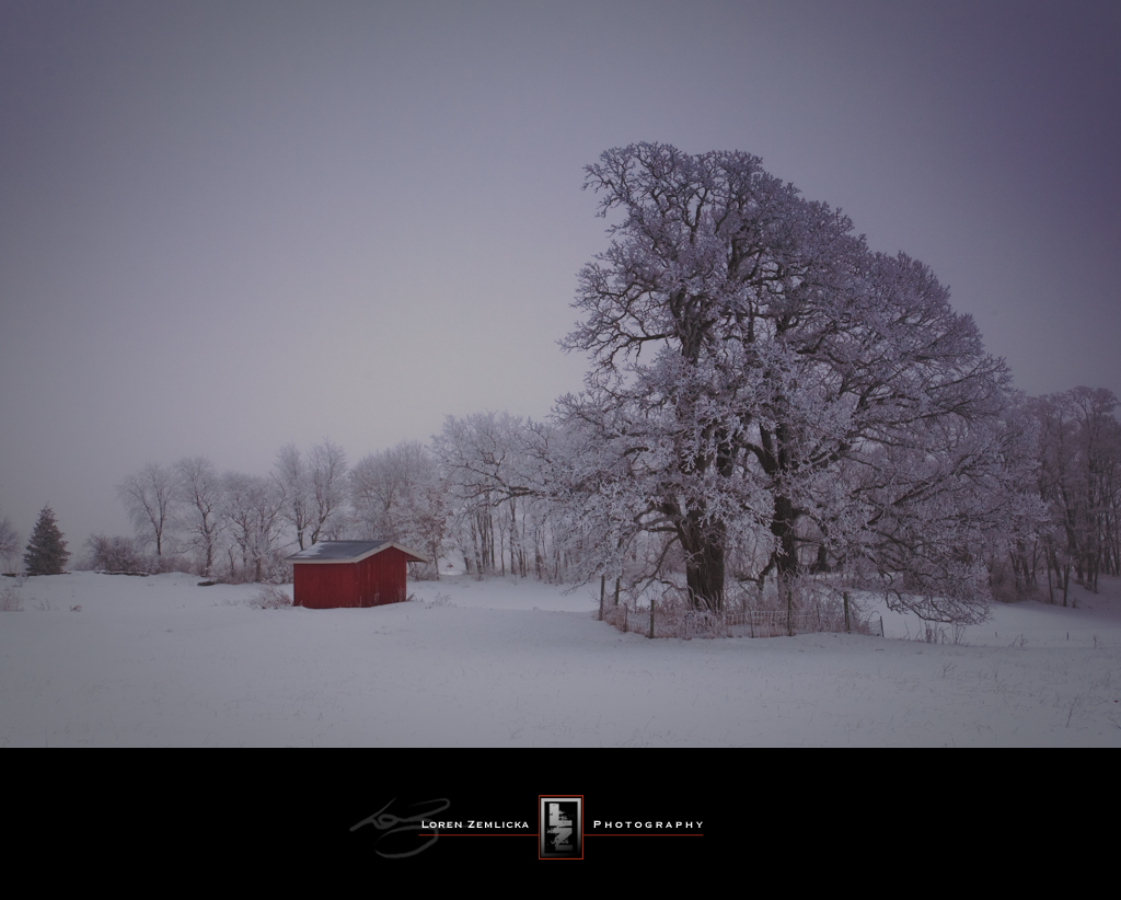 Frosty Morning