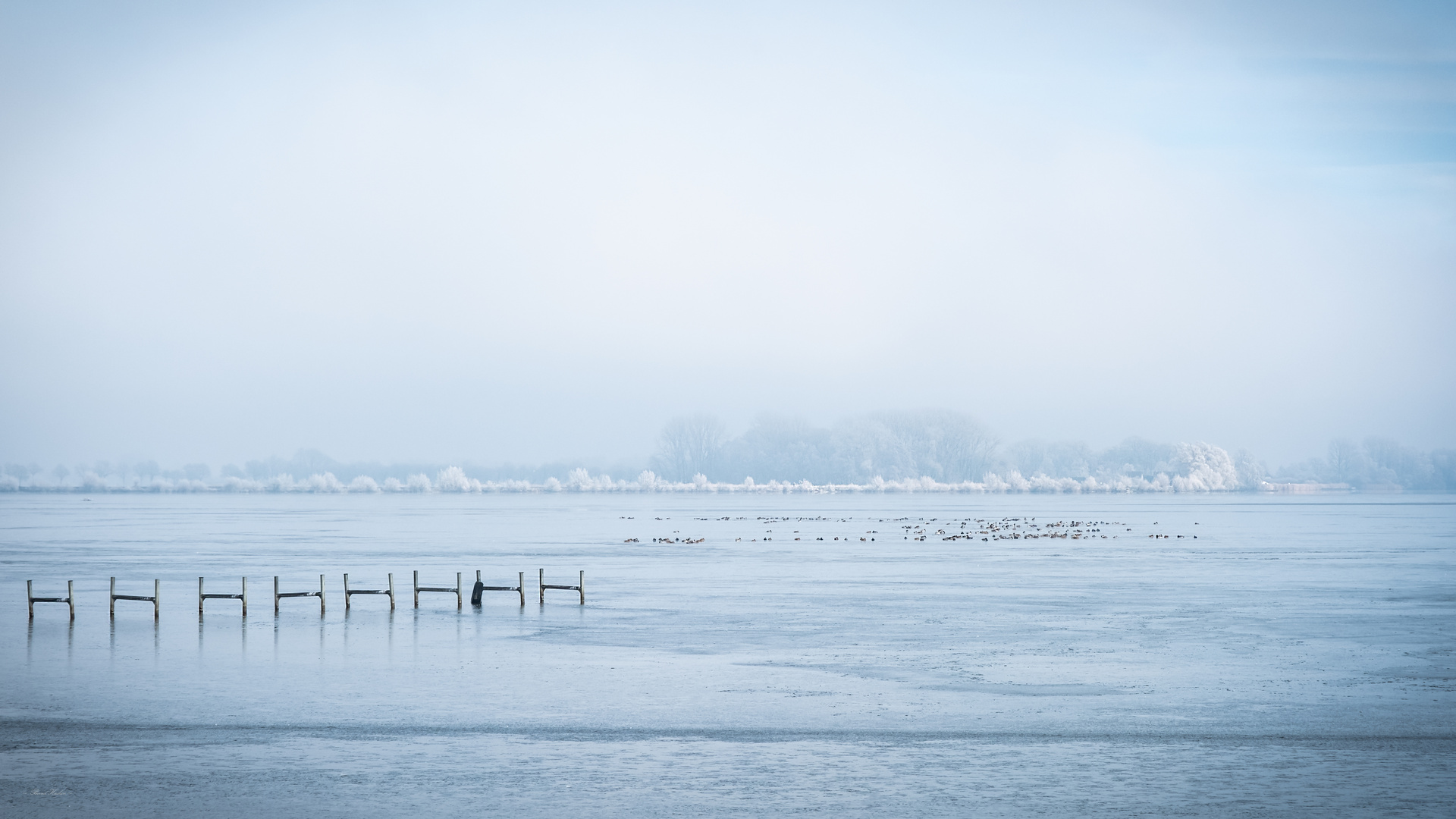 ~ frosty morning ~