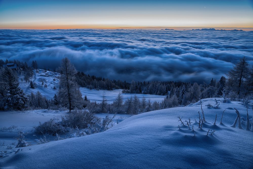 frosty morning