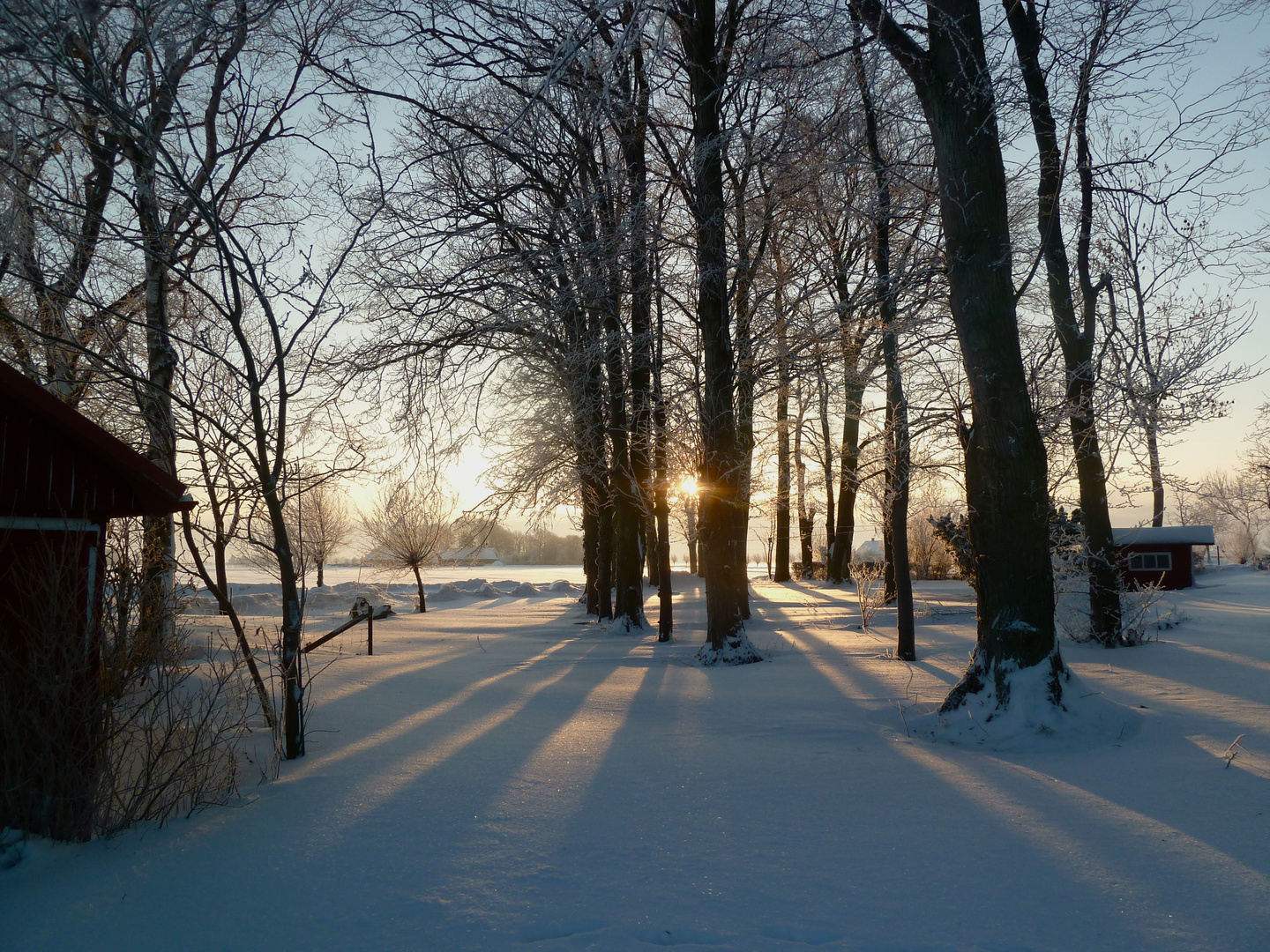 Frosty Morning