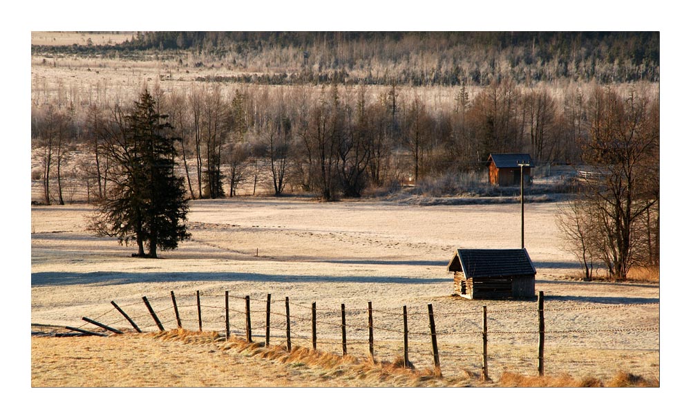 Frosty Morning - frostiger Morgen