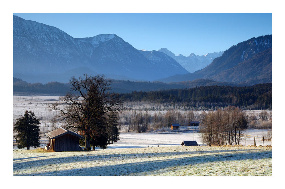 Frosty Morning - frostiger Morgen II