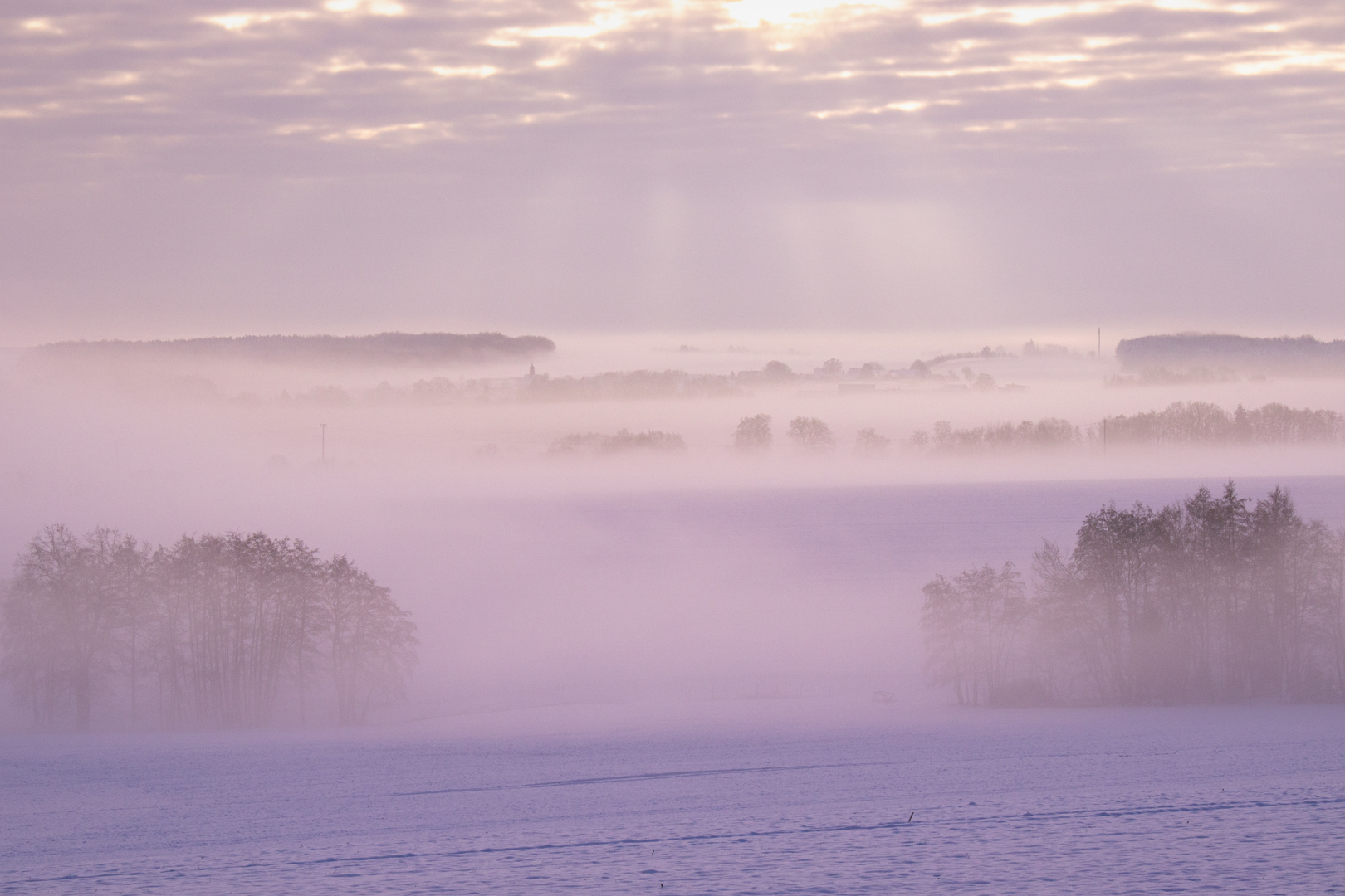 Frosty Morning Sunrise