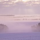 Frosty Morning Sunrise