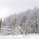 Frosty Path