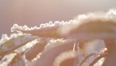 Frosty Rime