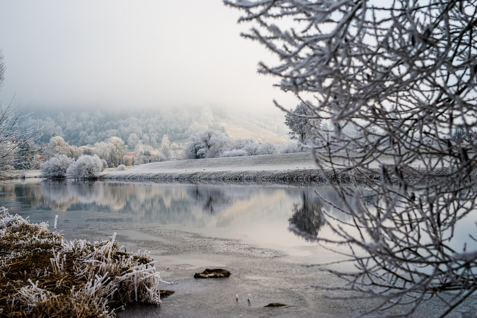 frosty silvester day