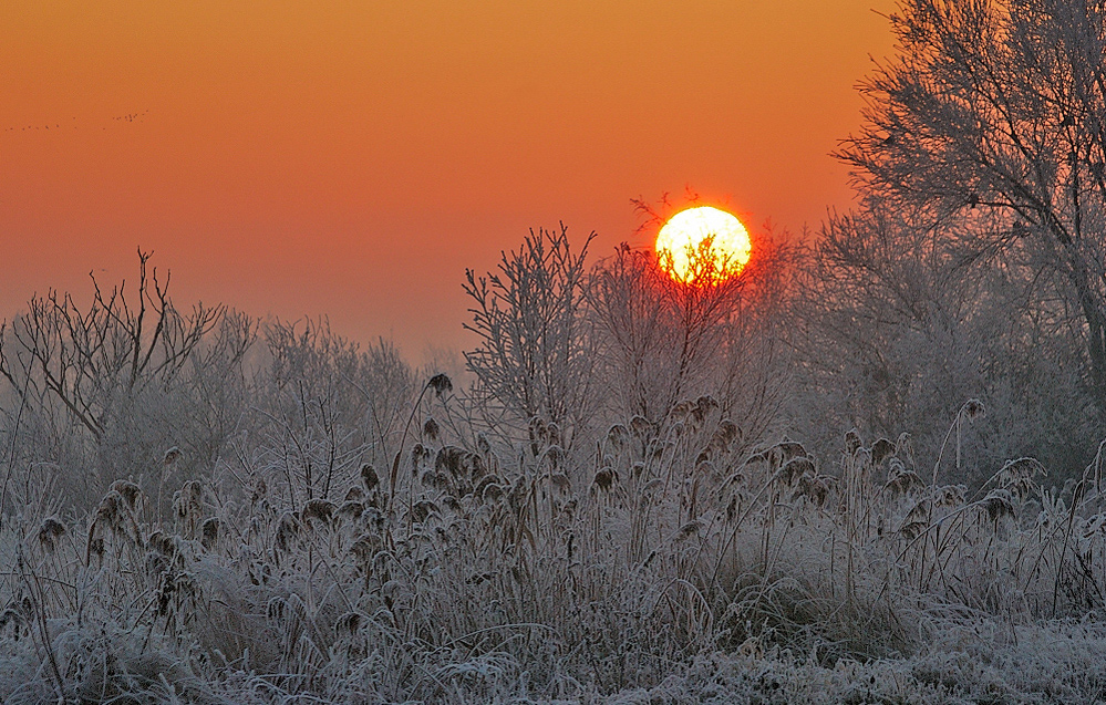 frosty sunise...