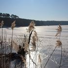 Frosty, sunny day at the lake