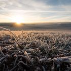 Frosty Sunrise