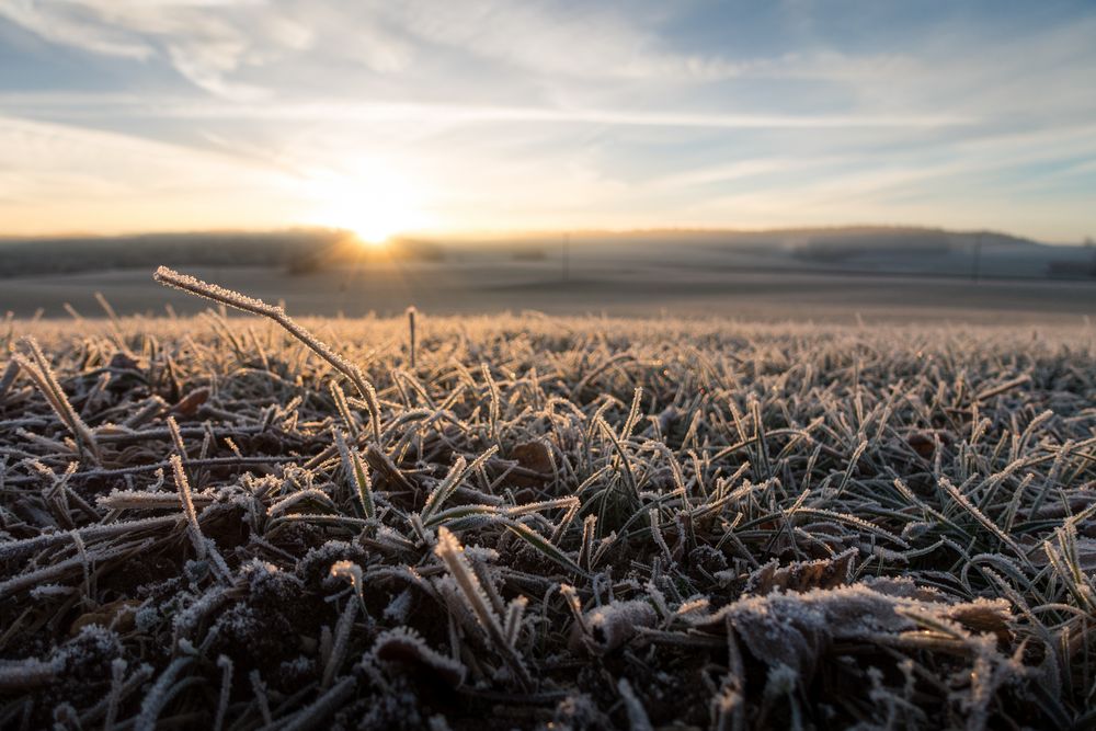 Frosty Sunrise