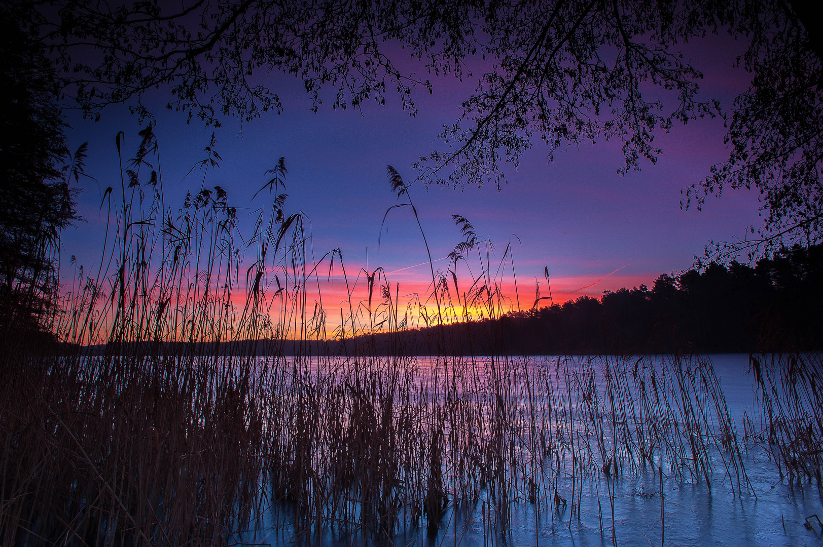 Frosty Sunrise