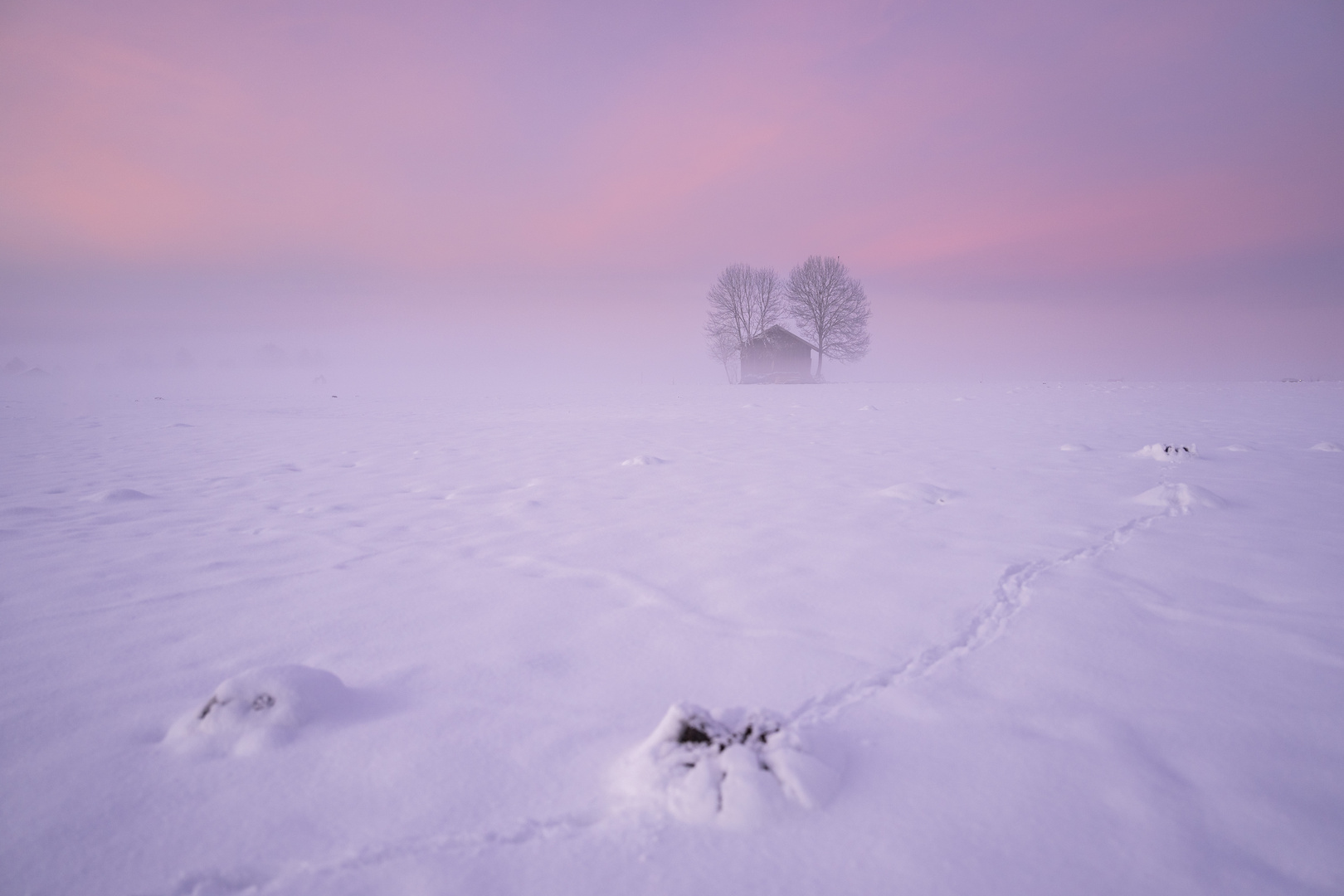 frosty sunset