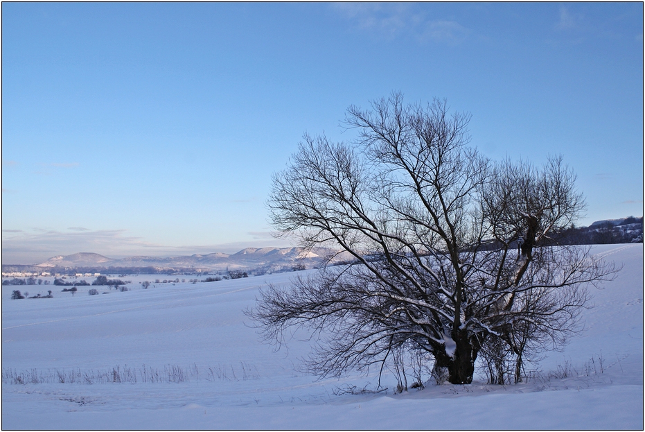 Frostzeiten