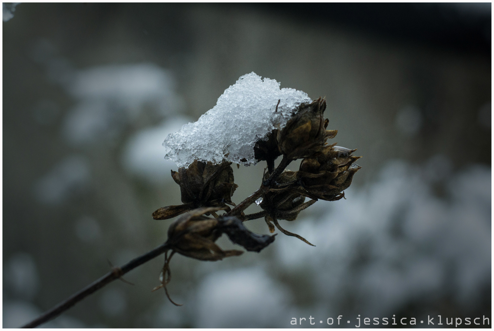 Frozen (2 von 1) mit rahmen