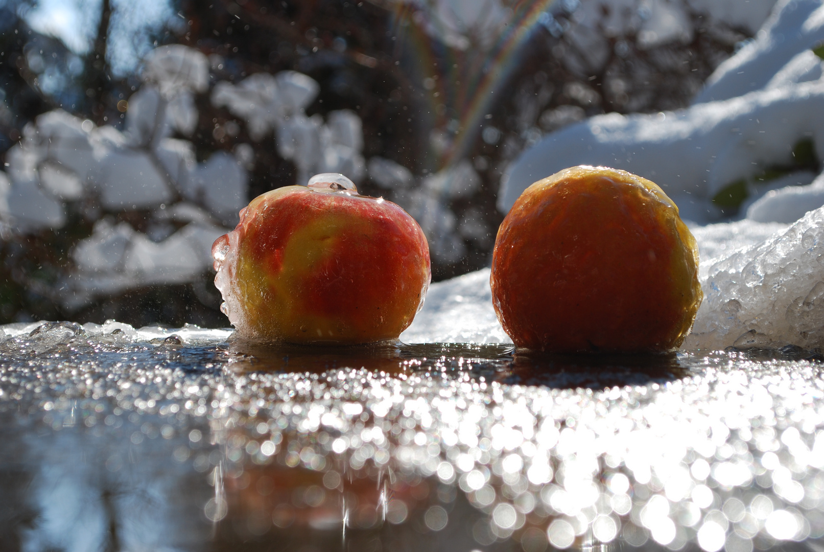Frozen Apples