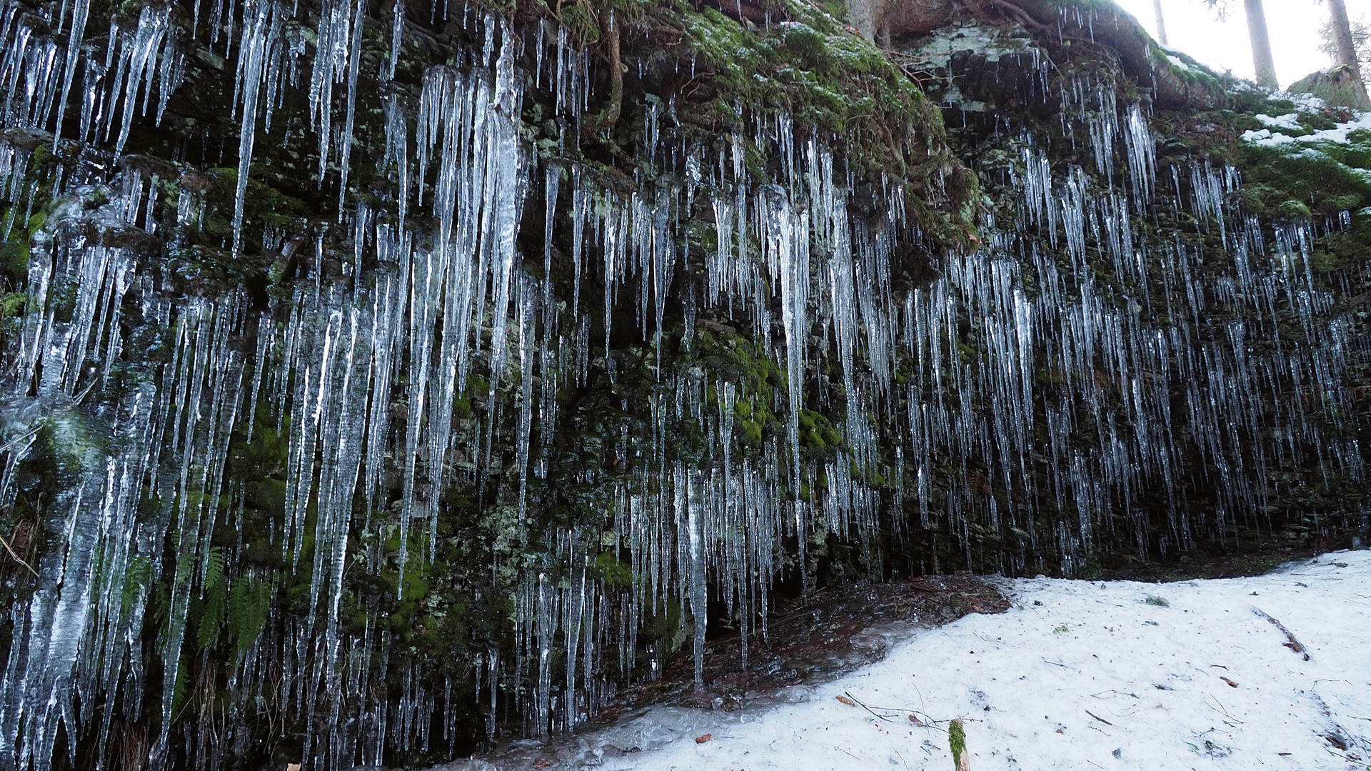 Frozen Beauty II