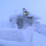 Frozen Beer (Lapponia)