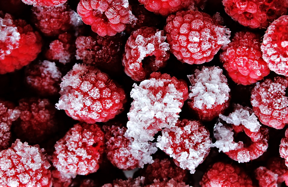 Frozen Berrys