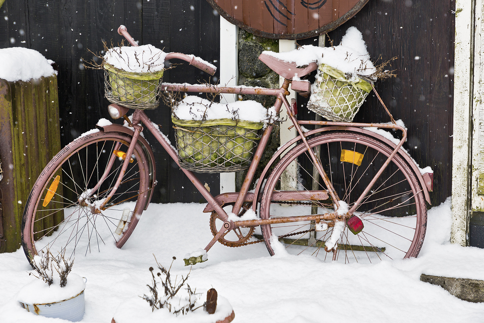 frozen bike