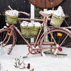 frozen bike