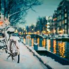 Frozen Bikes