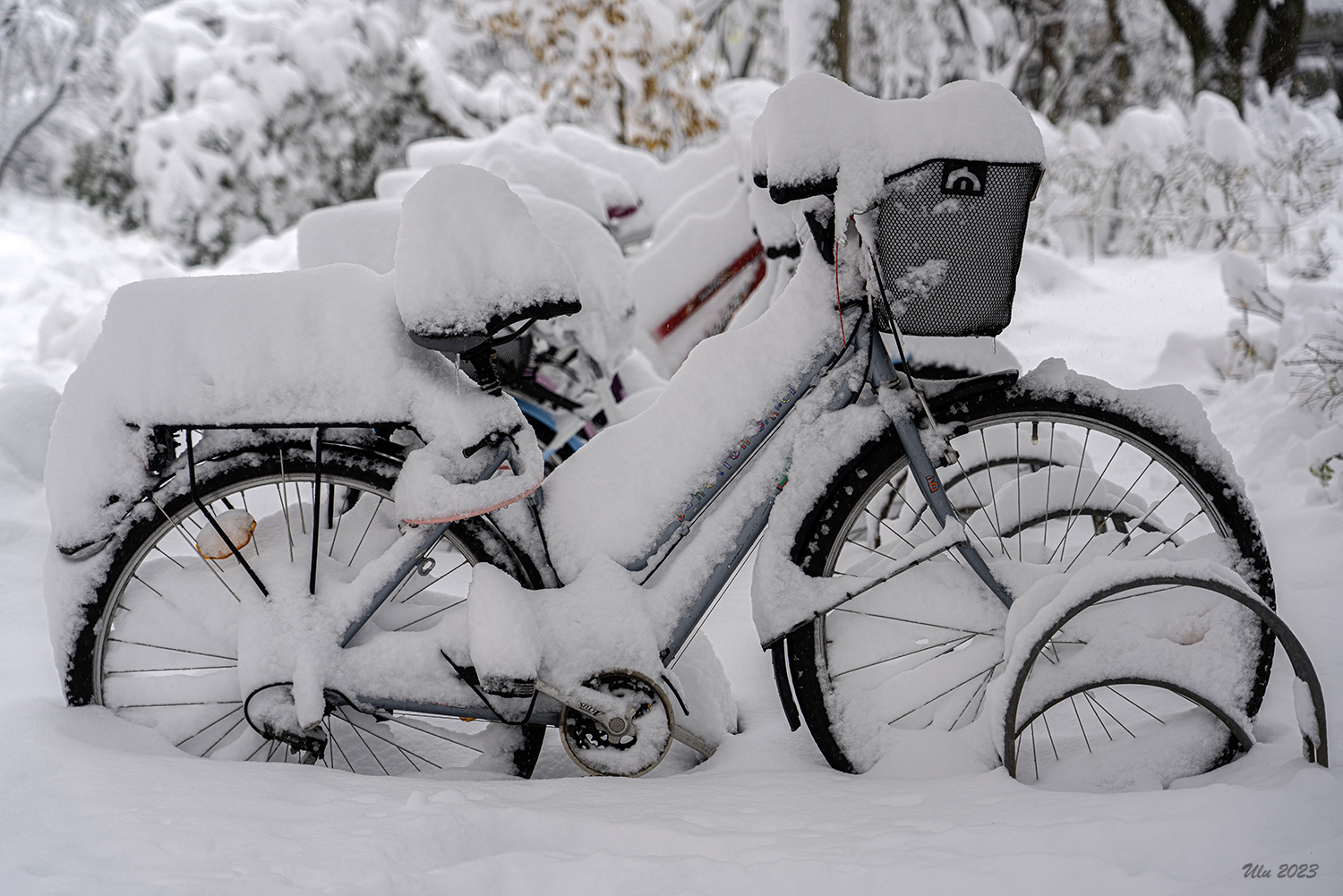 Frozen Bikes