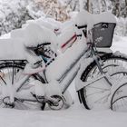 Frozen Bikes