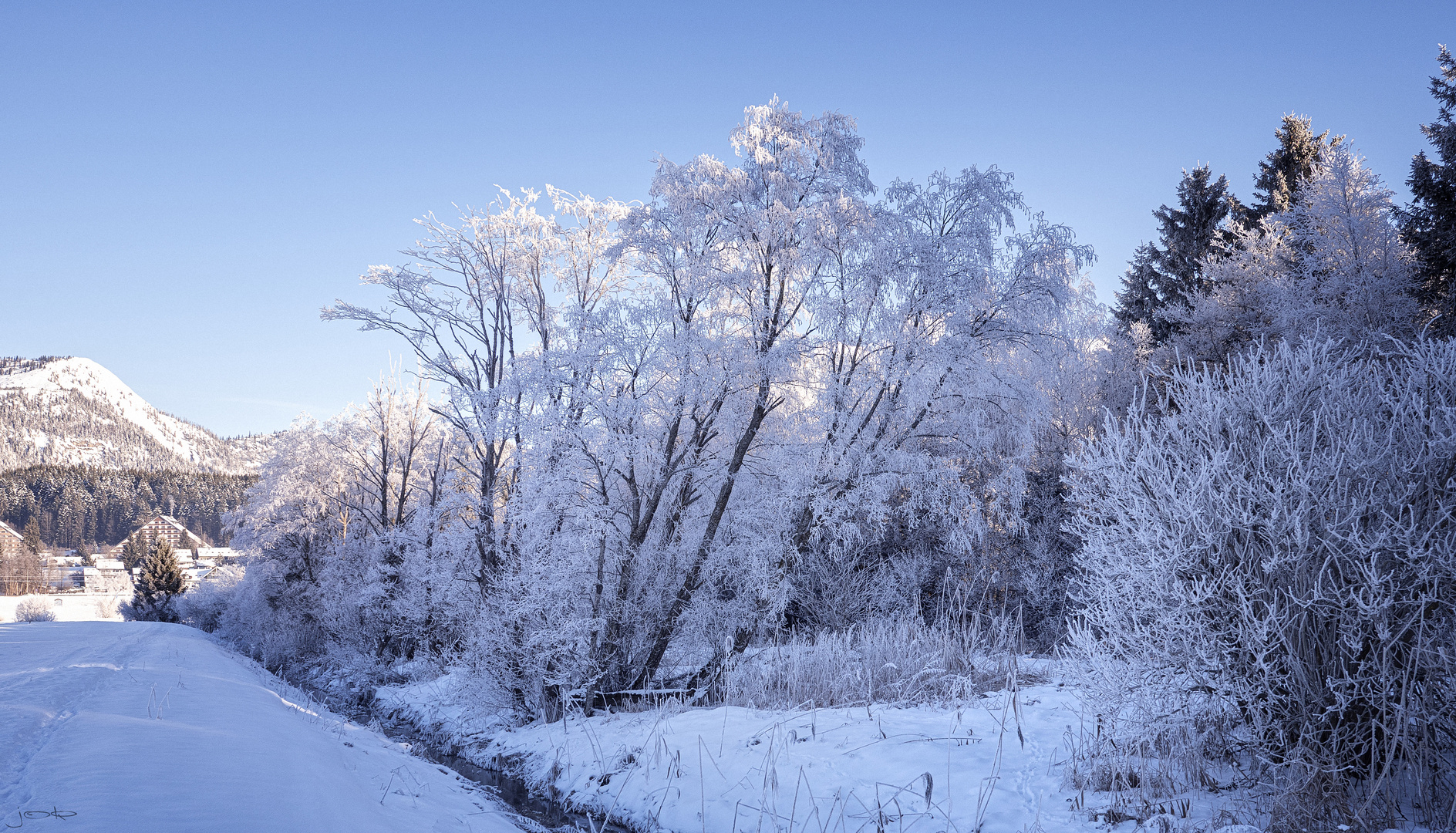 frozen blue