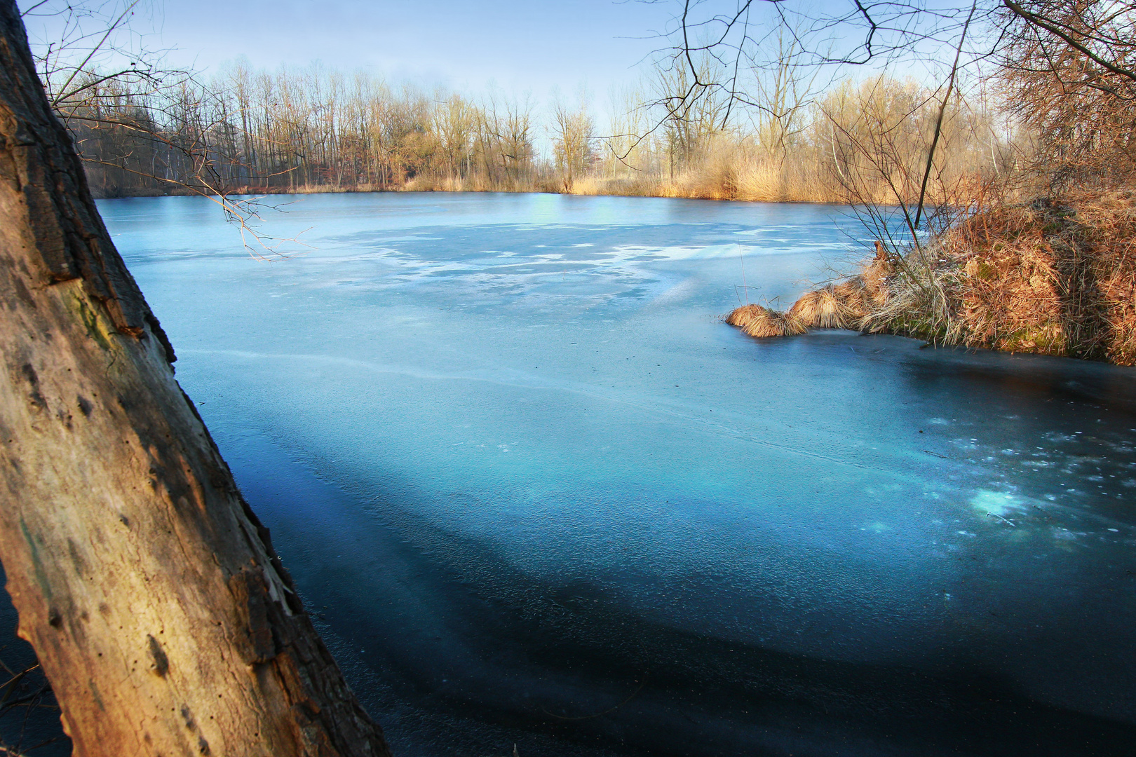 Frozen Blue