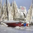 Frozen Boats