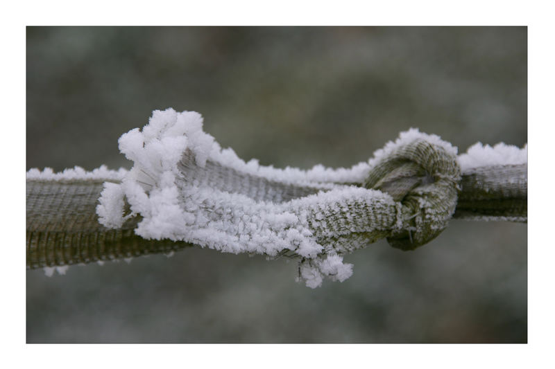 frozen bondage