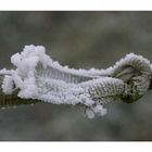 frozen bondage