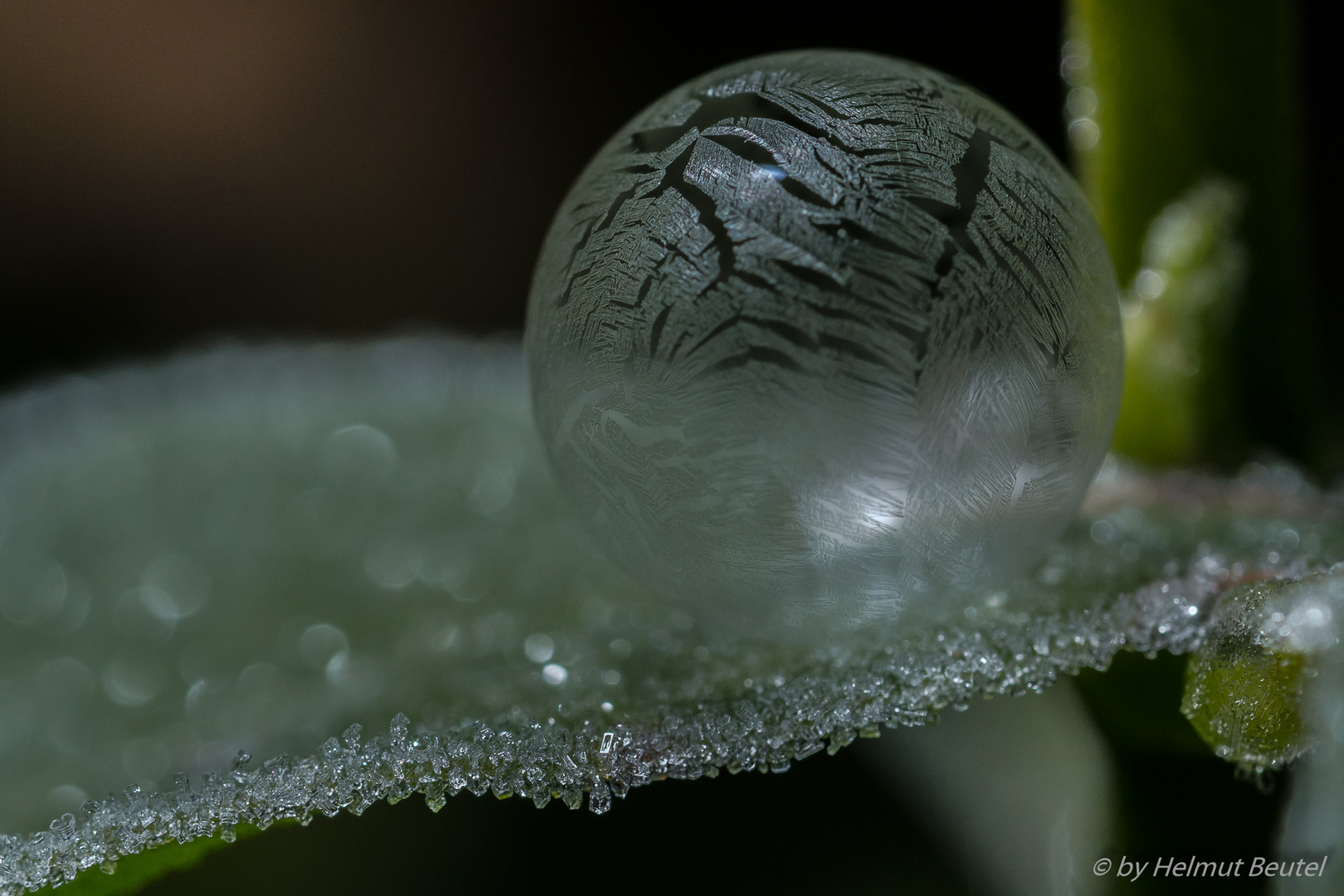 Frozen bubble 2