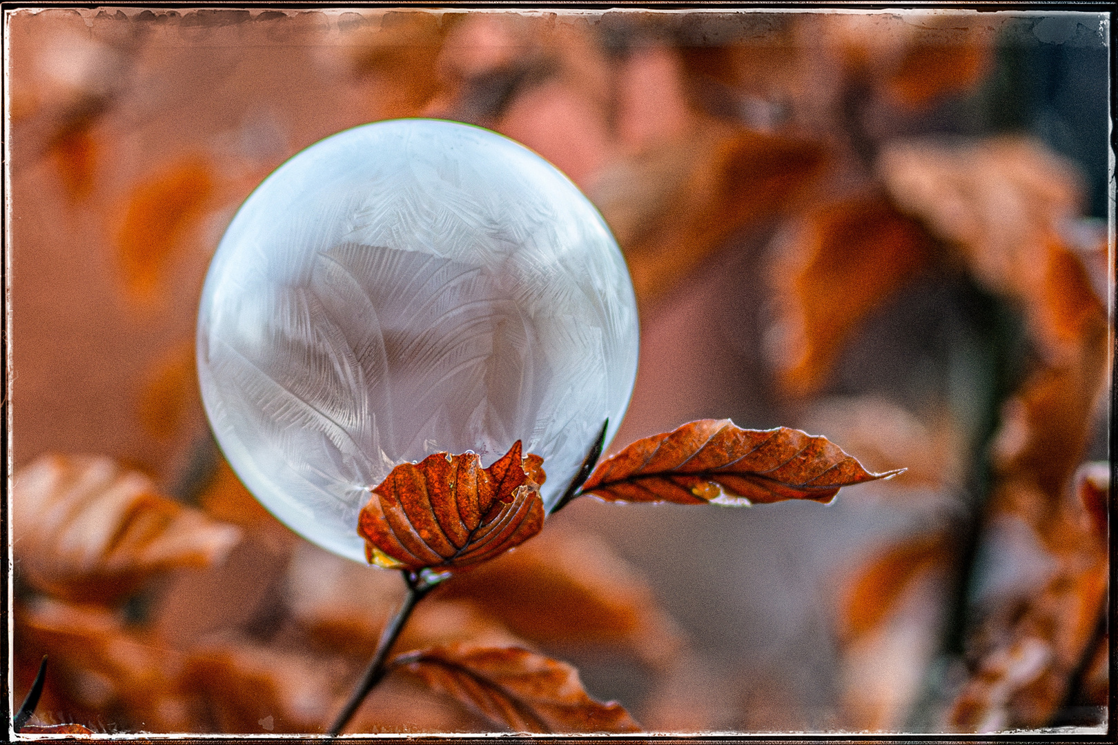 Frozen Bubble