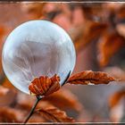 Frozen Bubble