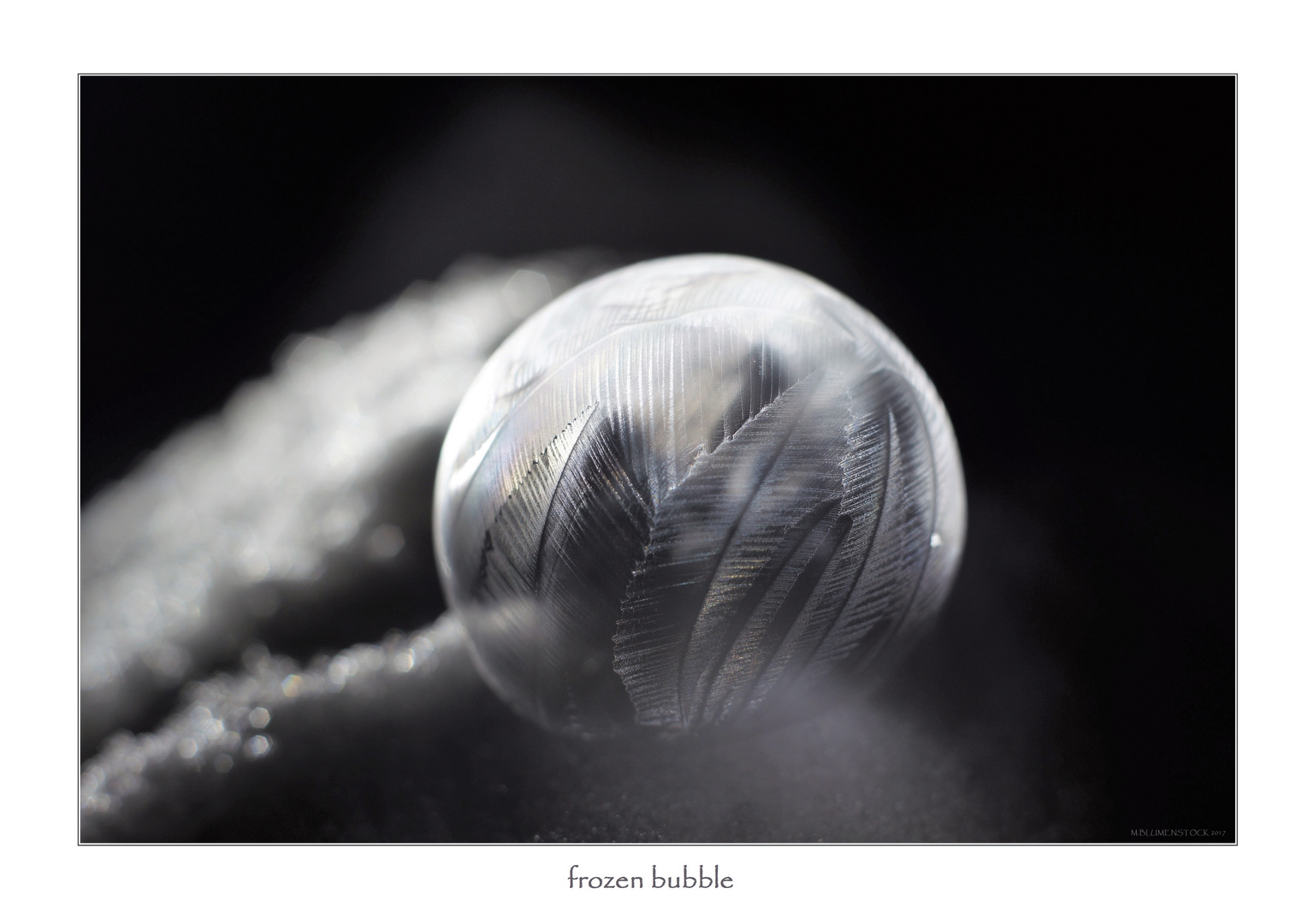 frozen bubble