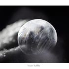 frozen bubble