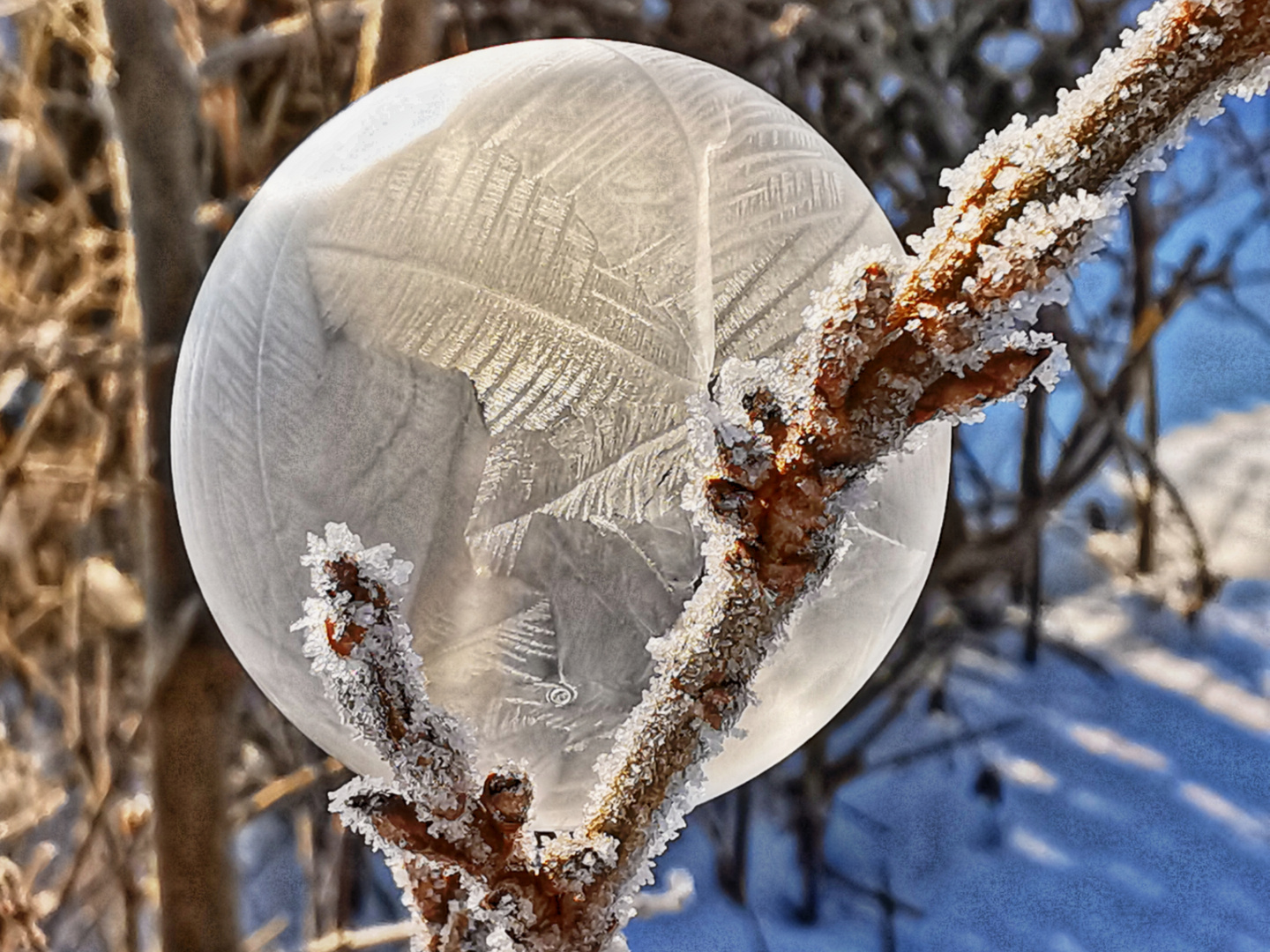 Frozen Bubble 