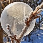 Frozen Bubble 