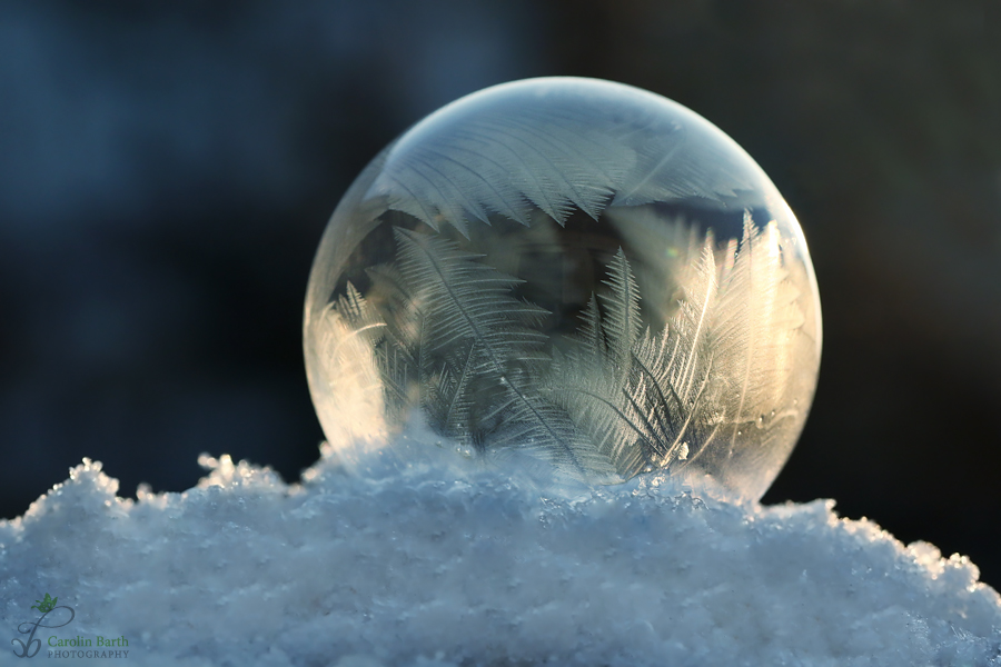 frozen bubble