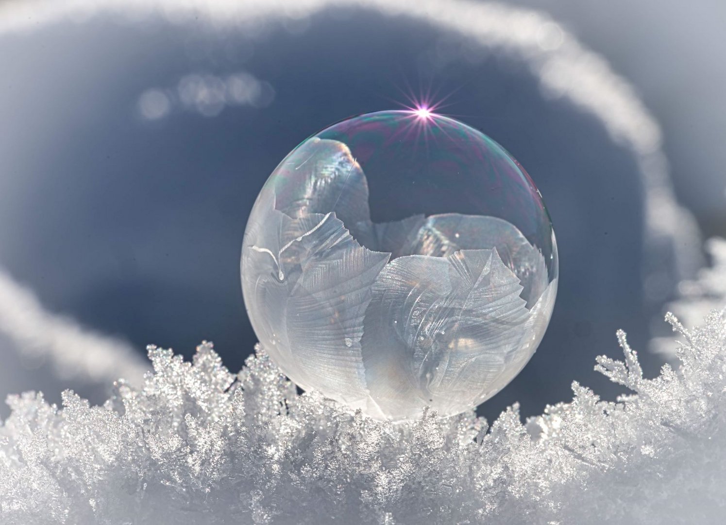 frozen Bubble