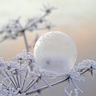 Frozen Bubble 5