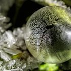 Frozen bubble