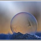 Frozen bubble