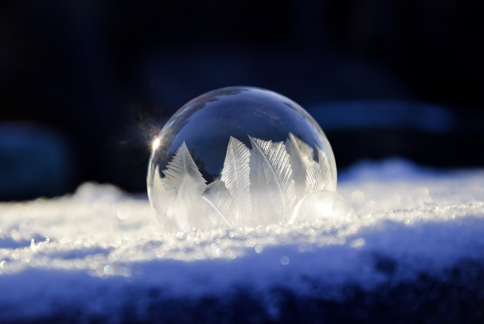 Frozen bubble