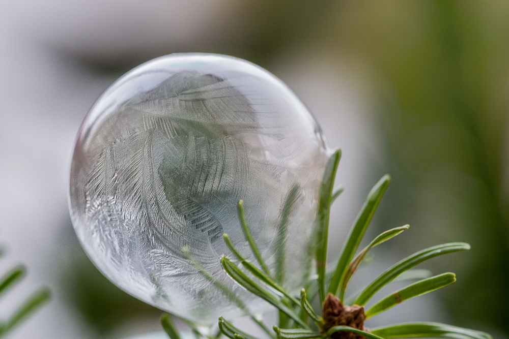 ~ frozen bubble ~